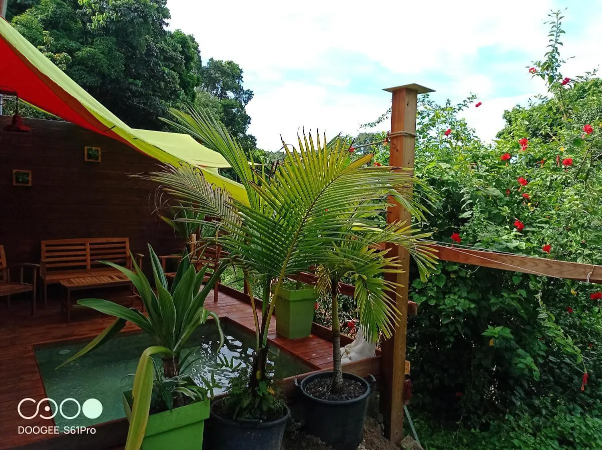 Le Planteur Apartment Riviere-Pilote 0*,